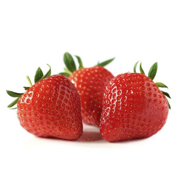 XP UNLIMITED XP 5 USUARIOS CONECTIVIDAD REMOTA WINDOWS 7